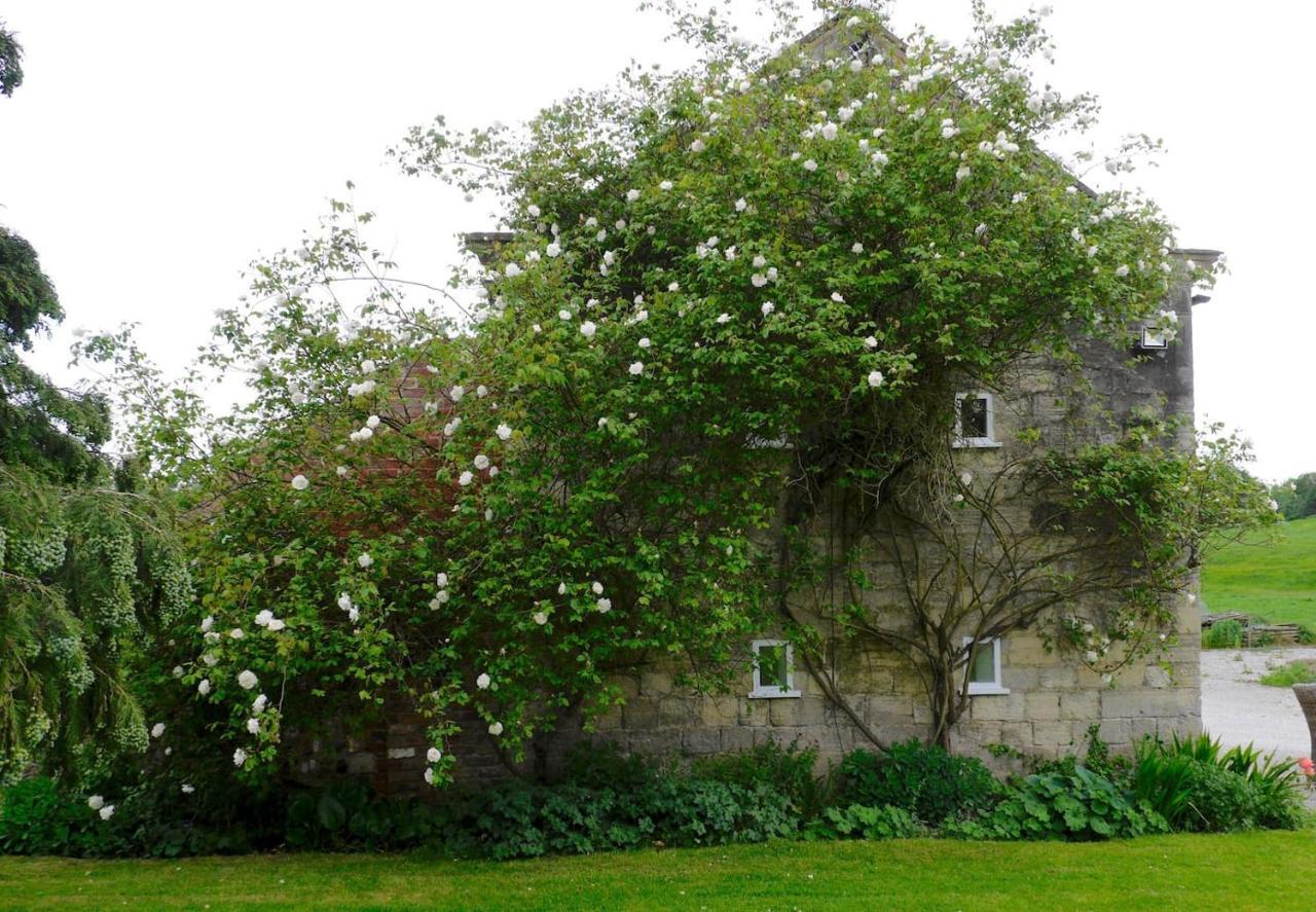 Crow House Barn Villa Copgrove Dış mekan fotoğraf